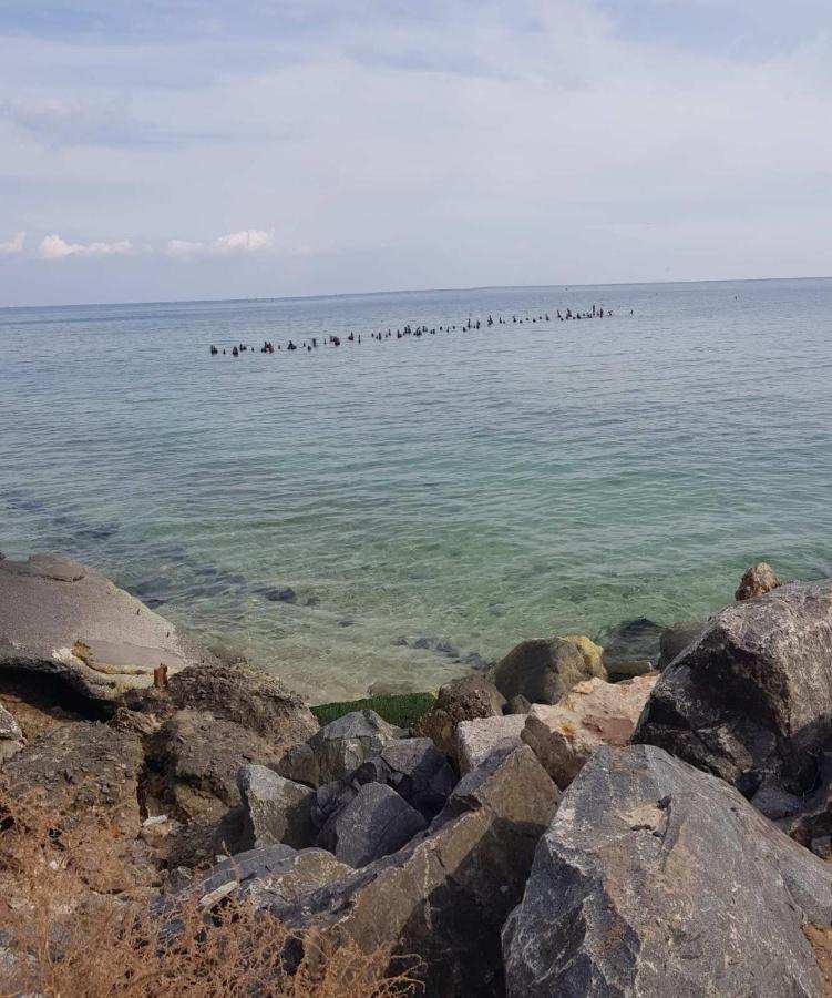 Vip Apartment In The Very Center Of Odessa With Sea View מראה חיצוני תמונה